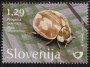 动物:欧洲:斯洛文尼亚:si201704.jpg