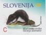动物:欧洲:斯洛文尼亚:si201805.jpg
