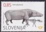 动物:欧洲:斯洛文尼亚:si201903.jpg