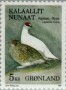 动物:欧洲:格陵兰:gl198701.jpg