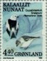动物:欧洲:格陵兰:gl198902.jpg