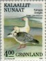 动物:欧洲:格陵兰:gl199001.jpg