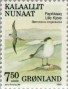 动物:欧洲:格陵兰:gl199002.jpg