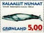 动物:欧洲:格陵兰:gl199701.jpg