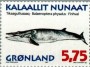 动物:欧洲:格陵兰:gl199702.jpg
