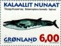 动物:欧洲:格陵兰:gl199703.jpg