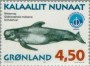 动物:欧洲:格陵兰:gl199803.jpg