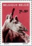 动物:欧洲:比利时:be196103.jpg