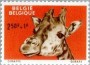 动物:欧洲:比利时:be196104.jpg