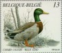 动物:欧洲:比利时:be198903.jpg