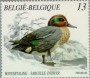 动物:欧洲:比利时:be198904.jpg