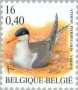 动物:欧洲:比利时:be200105.jpg