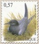 动物:欧洲:比利时:be200204.jpg