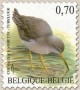 动物:欧洲:比利时:be200205.jpg