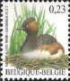 动物:欧洲:比利时:be200605.jpg