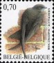 动物:欧洲:比利时:be200701.jpg