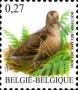 动物:欧洲:比利时:be200902.jpg