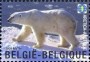 动物:欧洲:比利时:be200906.jpg