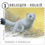 动物:欧洲:比利时:be201508.jpg