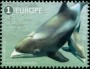 动物:欧洲:比利时:be201713.jpg