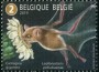 动物:欧洲:比利时:be201905.jpg