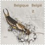 动物:欧洲:比利时:be202304.jpg