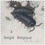 动物:欧洲:比利时:be202305.jpg