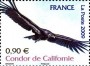 动物:欧洲:法国:fr200904.jpg