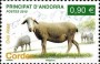 动物:欧洲:法属安道尔:adf201002.jpg
