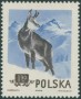 动物:欧洲:波兰:pl195403.jpg