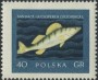 动物:欧洲:波兰:pl195801.jpg