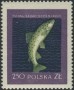 动物:欧洲:波兰:pl195804.jpg