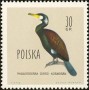 动物:欧洲:波兰:pl196003.jpg
