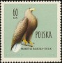动物:欧洲:波兰:pl196006.jpg