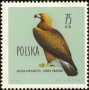 动物:欧洲:波兰:pl196007.jpg