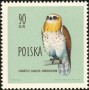 动物:欧洲:波兰:pl196008.jpg