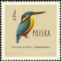 动物:欧洲:波兰:pl196010.jpg