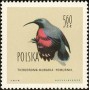 动物:欧洲:波兰:pl196011.jpg
