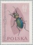 动物:欧洲:波兰:pl196105.jpg