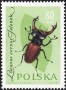 动物:欧洲:波兰:pl196106.jpg