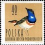 动物:欧洲:波兰:pl196402.jpg