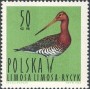 动物:欧洲:波兰:pl196403.jpg