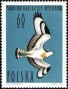 动物:欧洲:波兰:pl196404.jpg