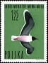 动物:欧洲:波兰:pl196406.jpg