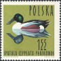 动物:欧洲:波兰:pl196407.jpg