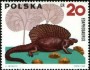 动物:欧洲:波兰:pl196501.jpg
