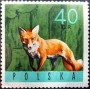 动物:欧洲:波兰:pl196513.jpg