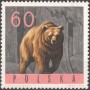 动物:欧洲:波兰:pl196515.jpg