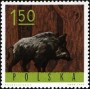 动物:欧洲:波兰:pl196516.jpg