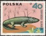 动物:欧洲:波兰:pl196603.jpg